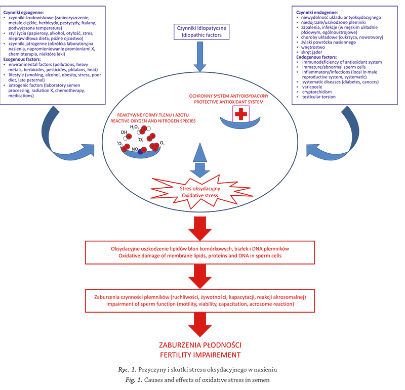 oksydacyjnego w nasieniu