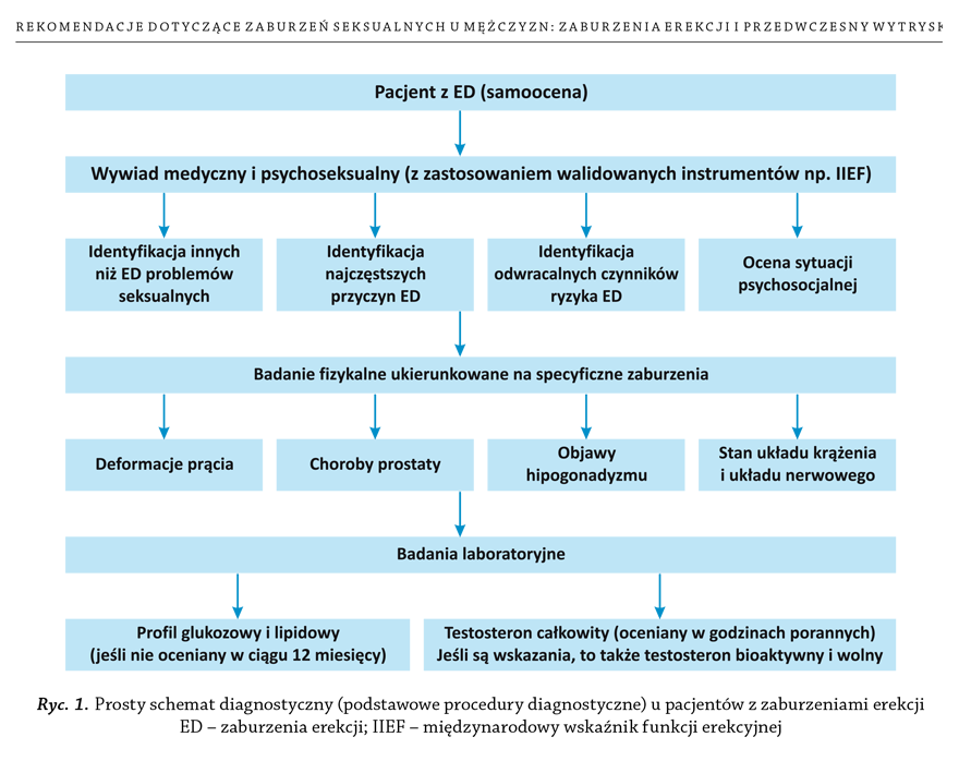 Ryc. 1. Prosty schemat diagnostyczny